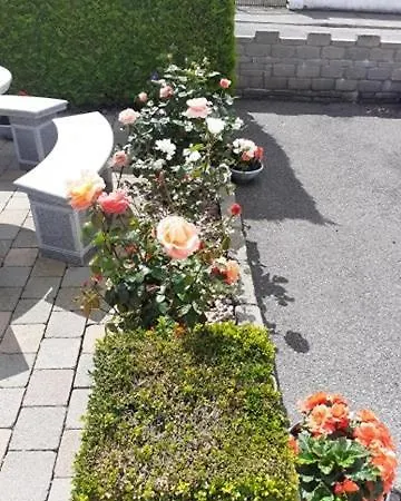 לינה וארוחת בוקר Jordan's Drum Haven B&b,