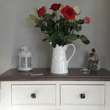 לינה וארוחת בוקר Jordan's Drum Haven B&b, נוק