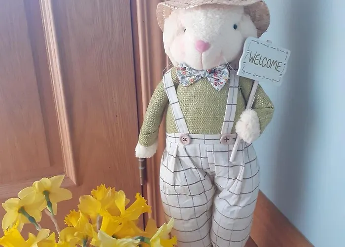 Panzió Jordan's Drum Haven B&b, Knock